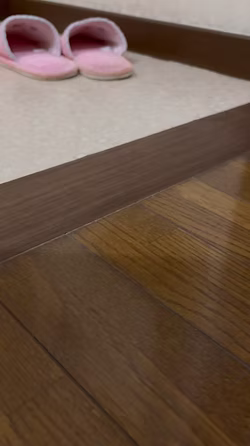 トイレ敷居段差解消工事(施工後)