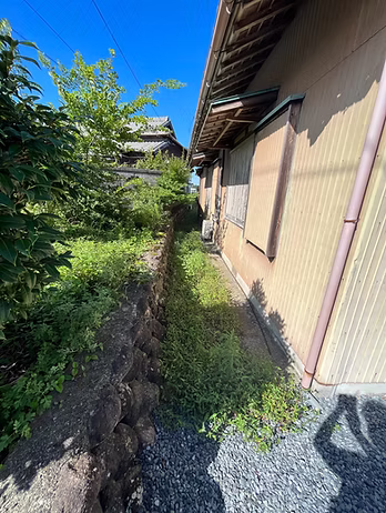 草刈り・枝切り作業（施工後）（施工前）